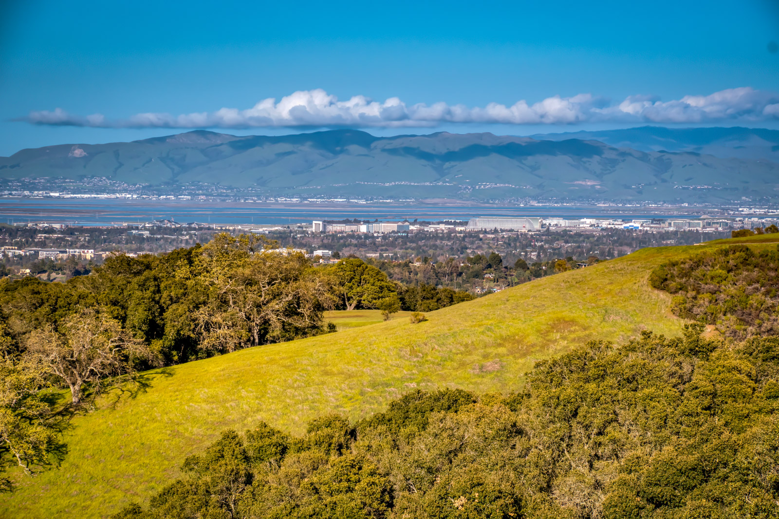 Palo Alto Hills